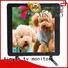 17 inch digital tv hd for lcd screen Xinyao LCD